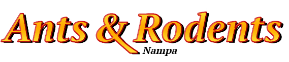 Nampa Ant Exterminator & Rodent Control Company Logo